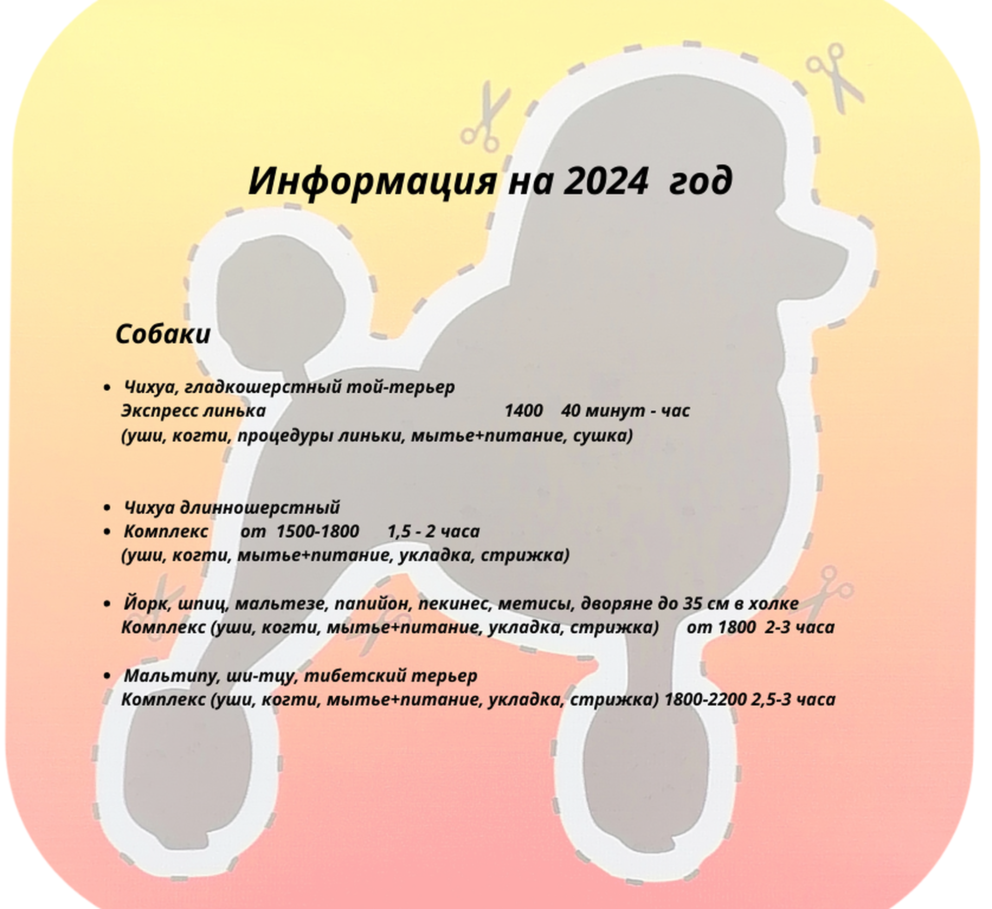 информация 2024