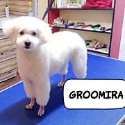 зоосалон "groomira"